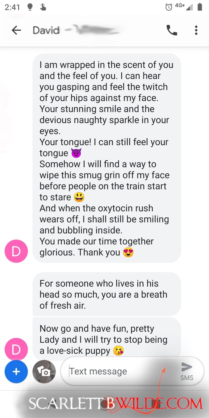 This is a screenshot of a customer's testimonial to the service received by Scarlett B Wilde