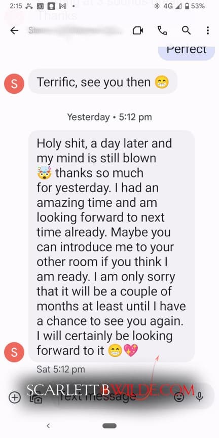 Screenshot of a Text stating how good the service of Scarlett B Wilde was.
 Identifying details were removed for privacy reasons.
Client: Holy shit, a day later and my mind is blown. thanks so much for yesterday. I had an amazing time and am looking forward to next time already. Maybe you can introduce me to your other room if you think I am ready. I am only sorry that it will be a couple of months at least until I have a chance to see you again I will certainly be looking forward to it.