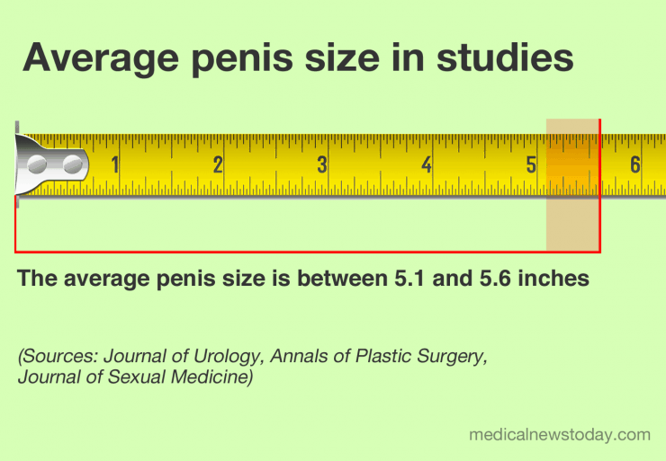 Chart showing the average penis size around the world between 5.1 & 5.6 inches.